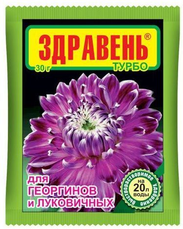 Удобрение Здравень Турбо для георгинов и луковичных 30г купить в СОМ