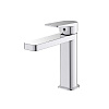 Смеситель для раковины Iddis Bridge BRDSB00i01 купить в СОМ